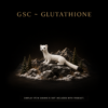 GSC ~ GLUTATHIONE 600