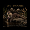 GSC ~ Bac Water