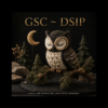 GSC ~ DSIP