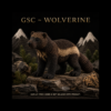 GSC ~ Wolverine
